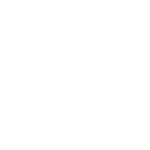 Social Media Profile